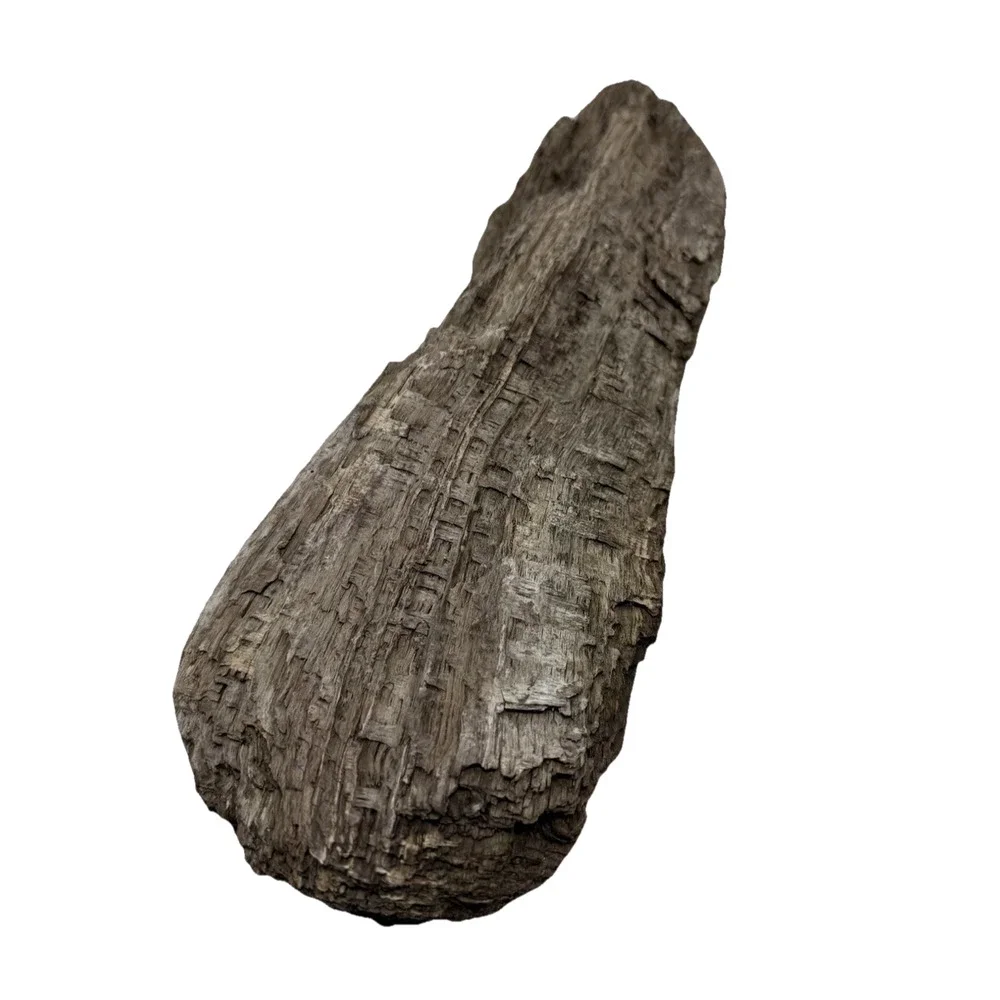 Twisted California Coast Driftwood Form – Dark Weathered Grain 13”